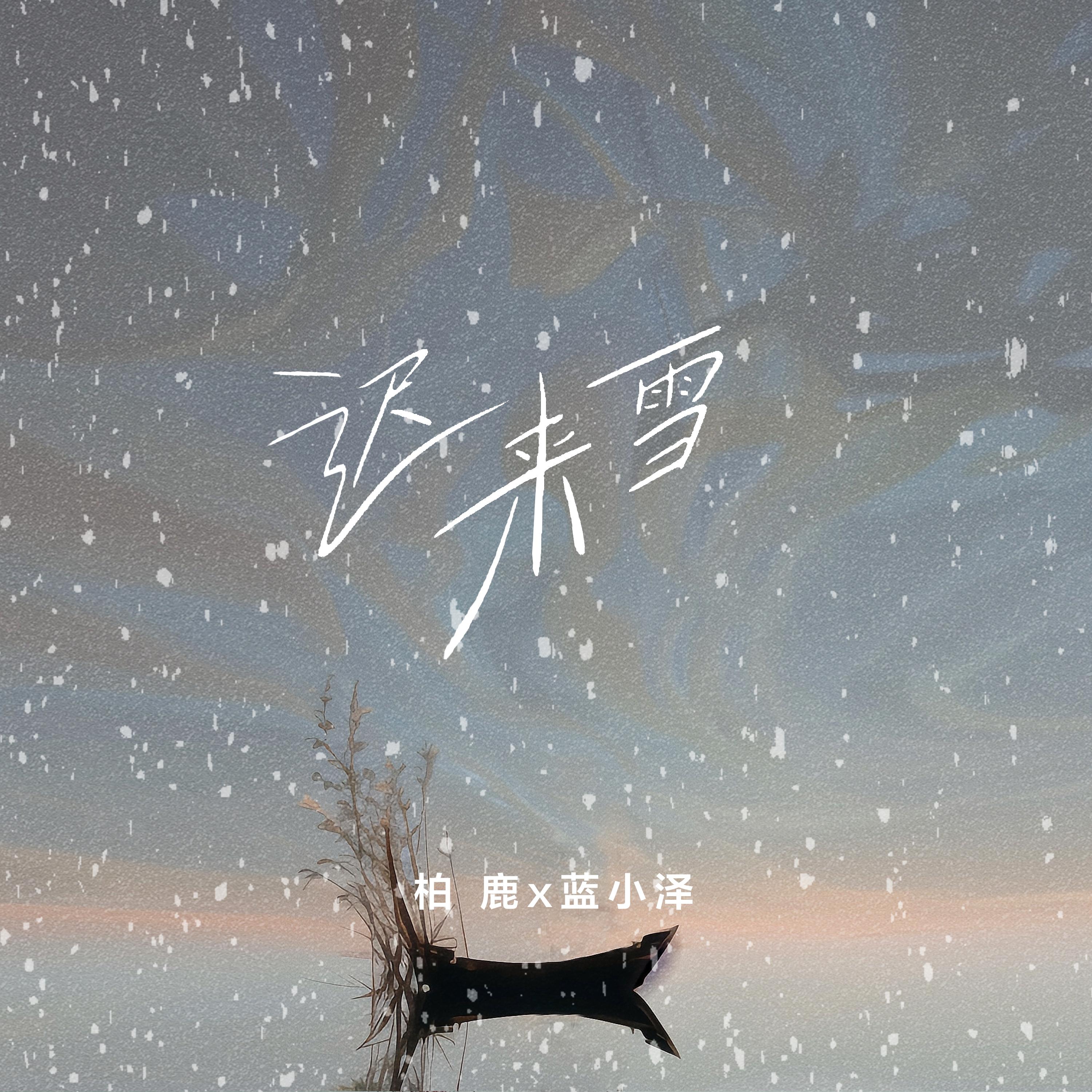 迟来雪