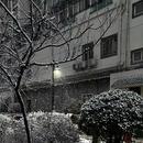 不是缪斯