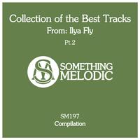 Collection of the Best Tracks From: Ilya Fly, Pt. 2