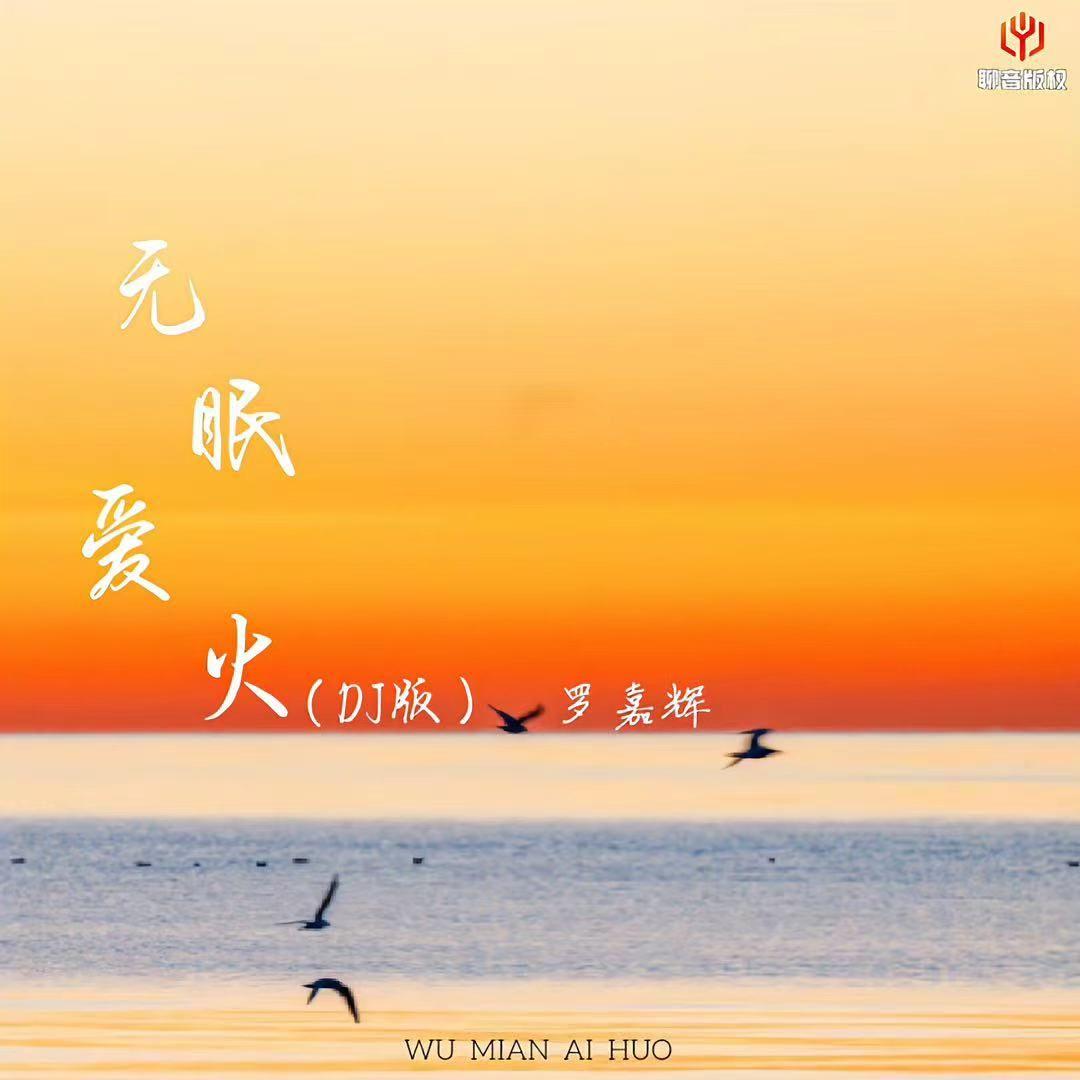 无眠爱火（DJ版伴奏） - 罗嘉辉封面