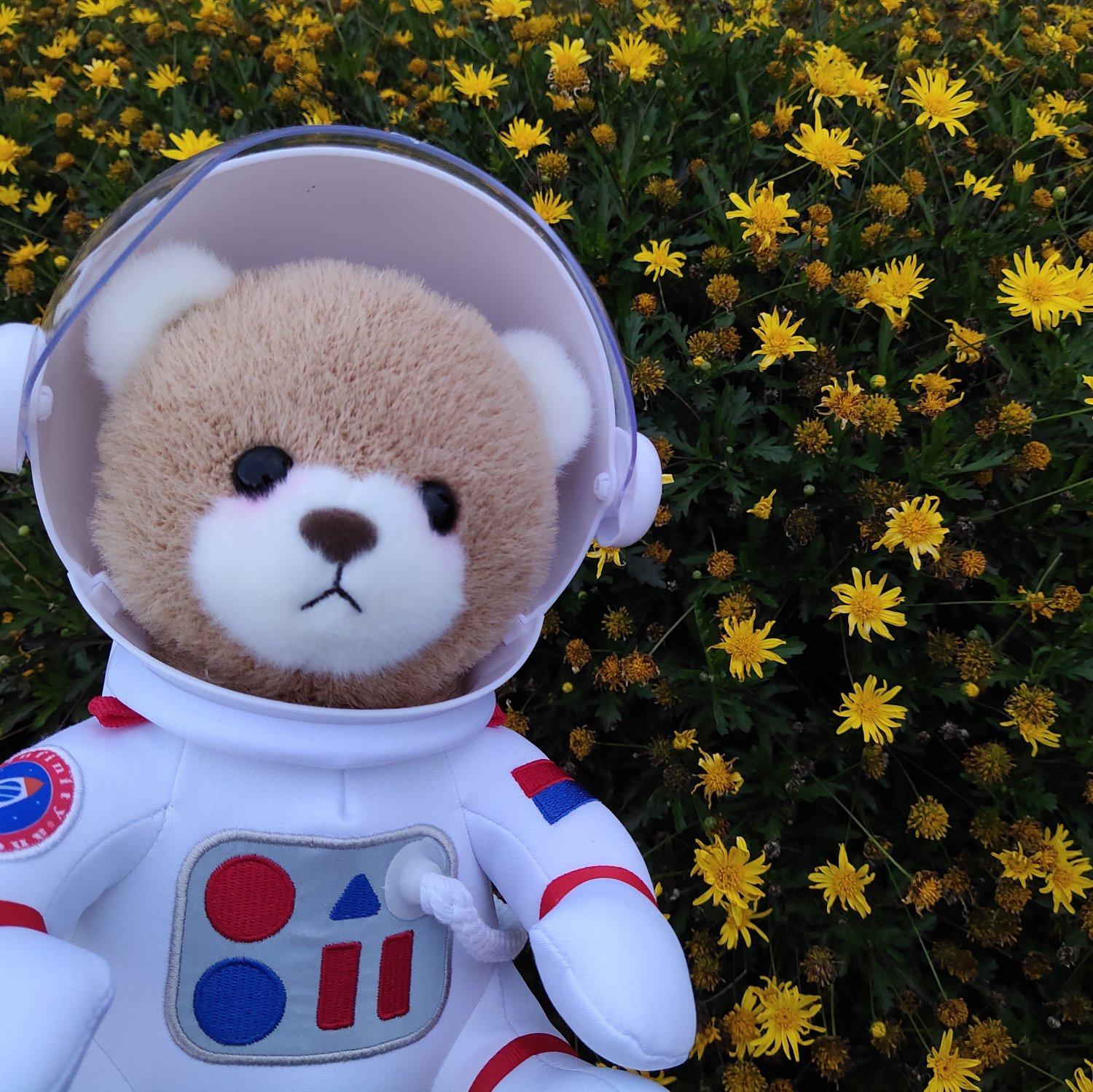 如果能和你共赴宇宙