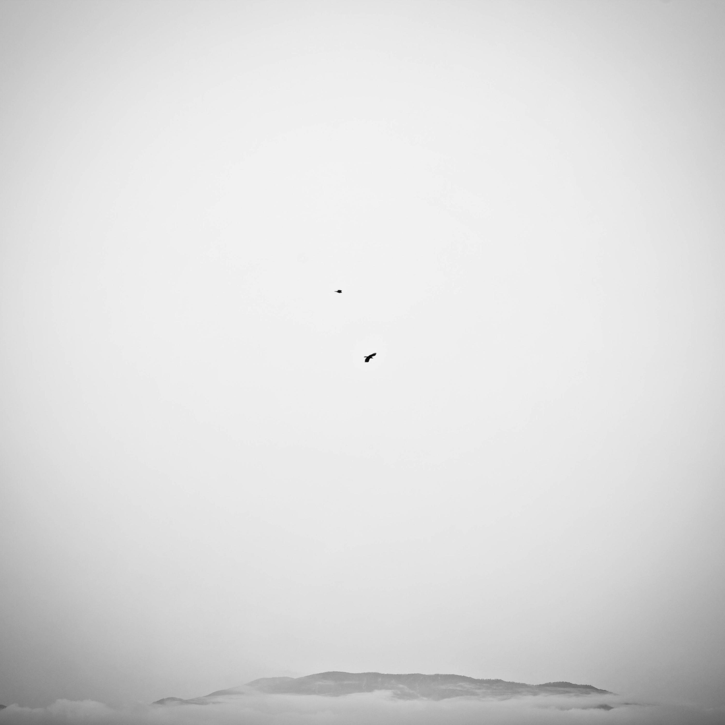 Fragments of a Distant Sky