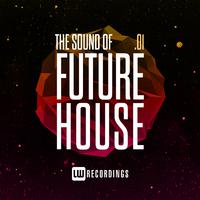 The Sound Of Future House, Vol. 01