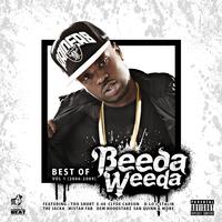 Best of Beeda Weeda, Vol. 1 (2006-2009)