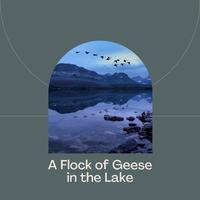 A Flock of Geese in the Lake