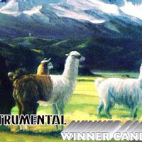 Winner Candia