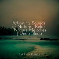 Affirming Sounds of Nature | Relax | Nature Melodies | Deep Sleep