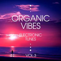 Organic Vibes (Electronic Tunes), Vol. 3