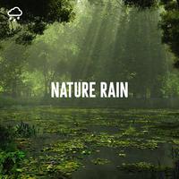 Nature Rain