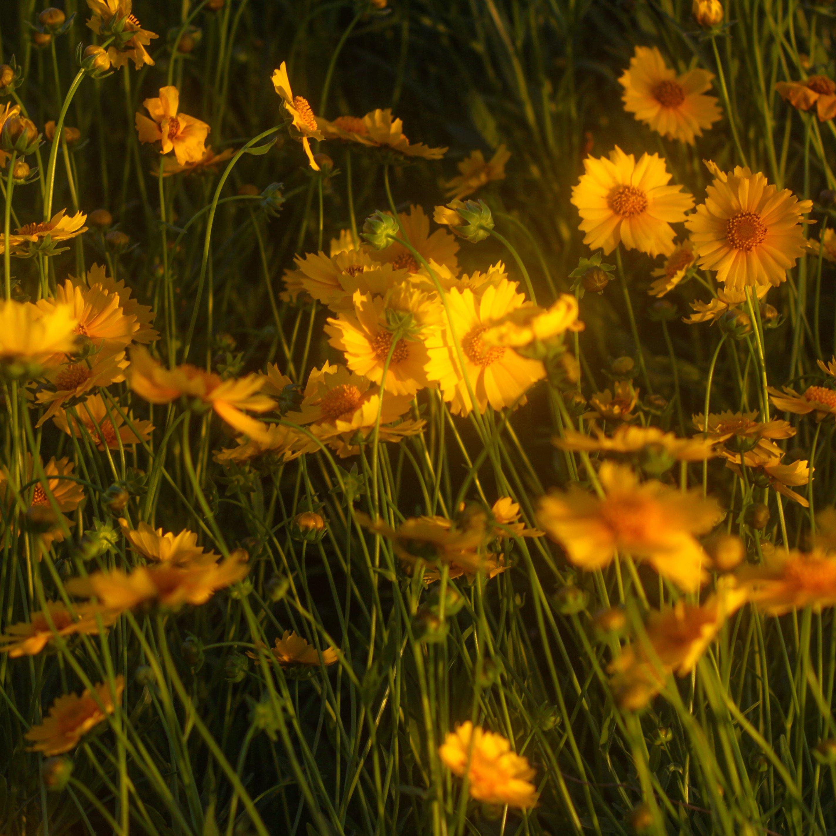 依然David Tao 爱在Khalil Fong