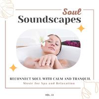 Soul Soundscapes, V11 - Reconnect Soul With Calm And Tranquil Music For Spa And Relaxation