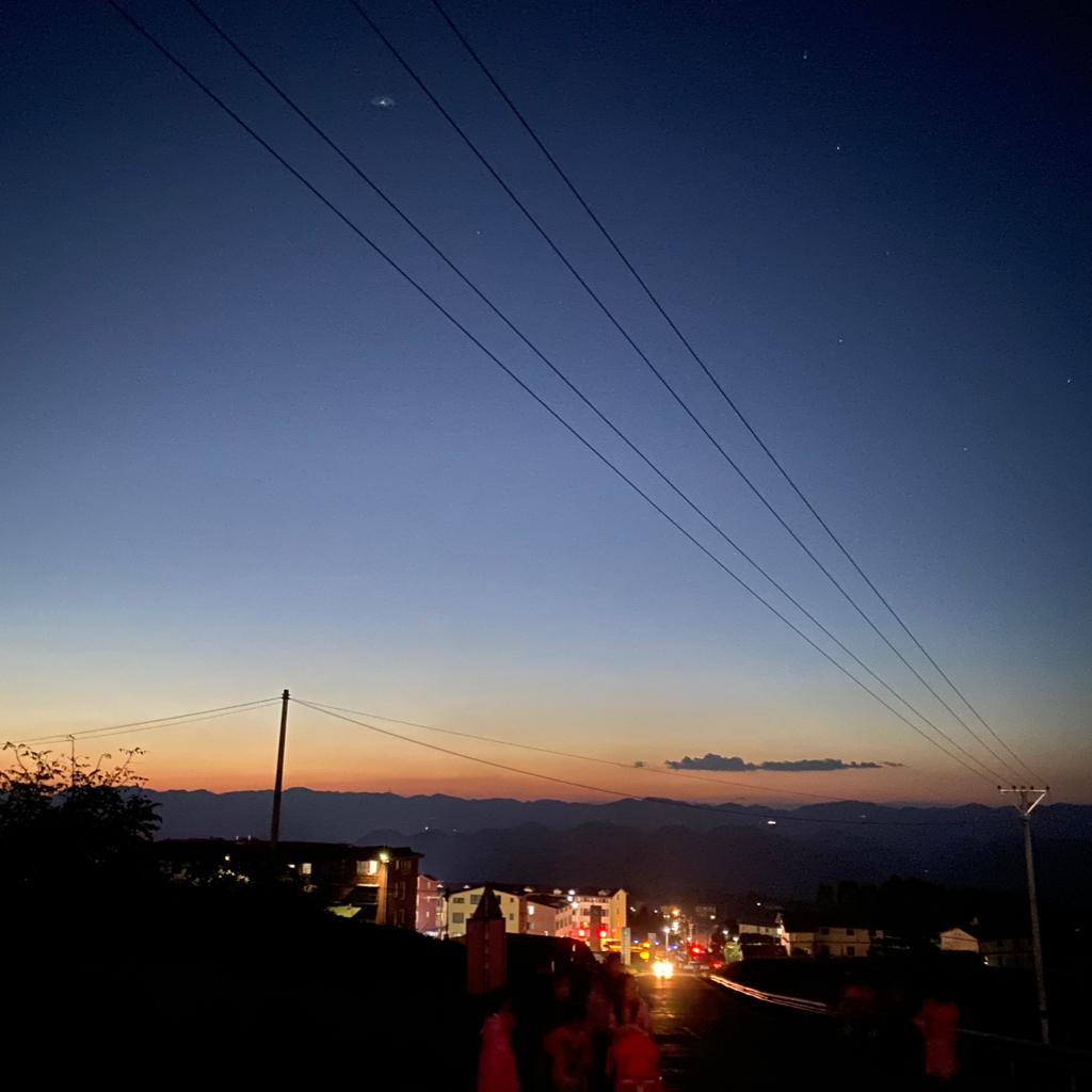 一只miko子｜一只小小的INTJ\INFJ