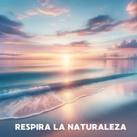 Respira la Naturaleza: Práctica Antiestrés, Relajación en el Spa, Meditación Calmante