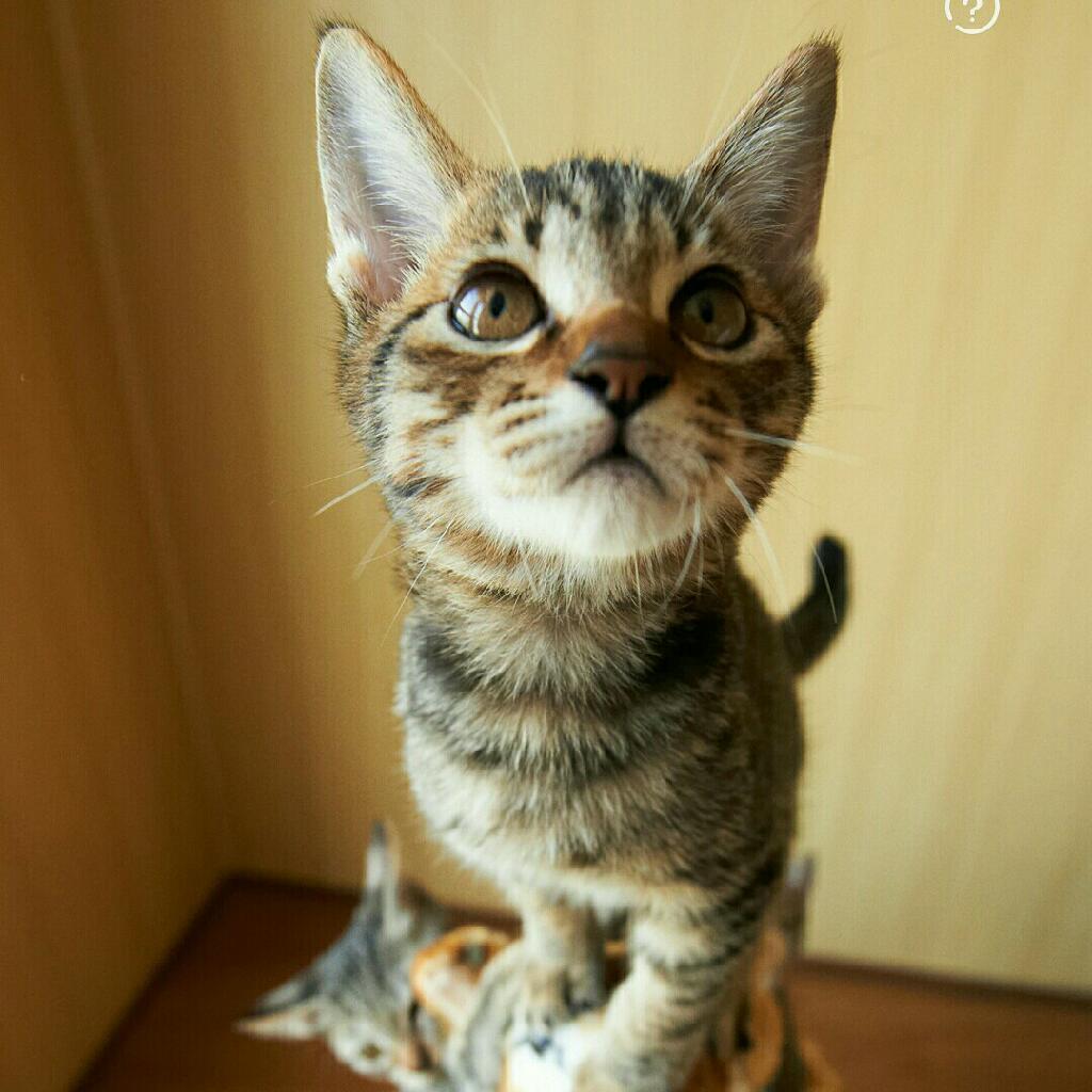 望而却步-低有所思