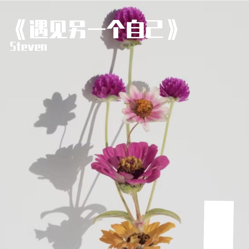 《遇见另一个自己》封面