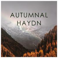 Autumnal Haydn