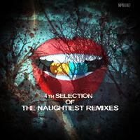 4th Selection Of The Naughtiest Remixes