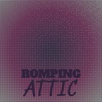 Romping Attic