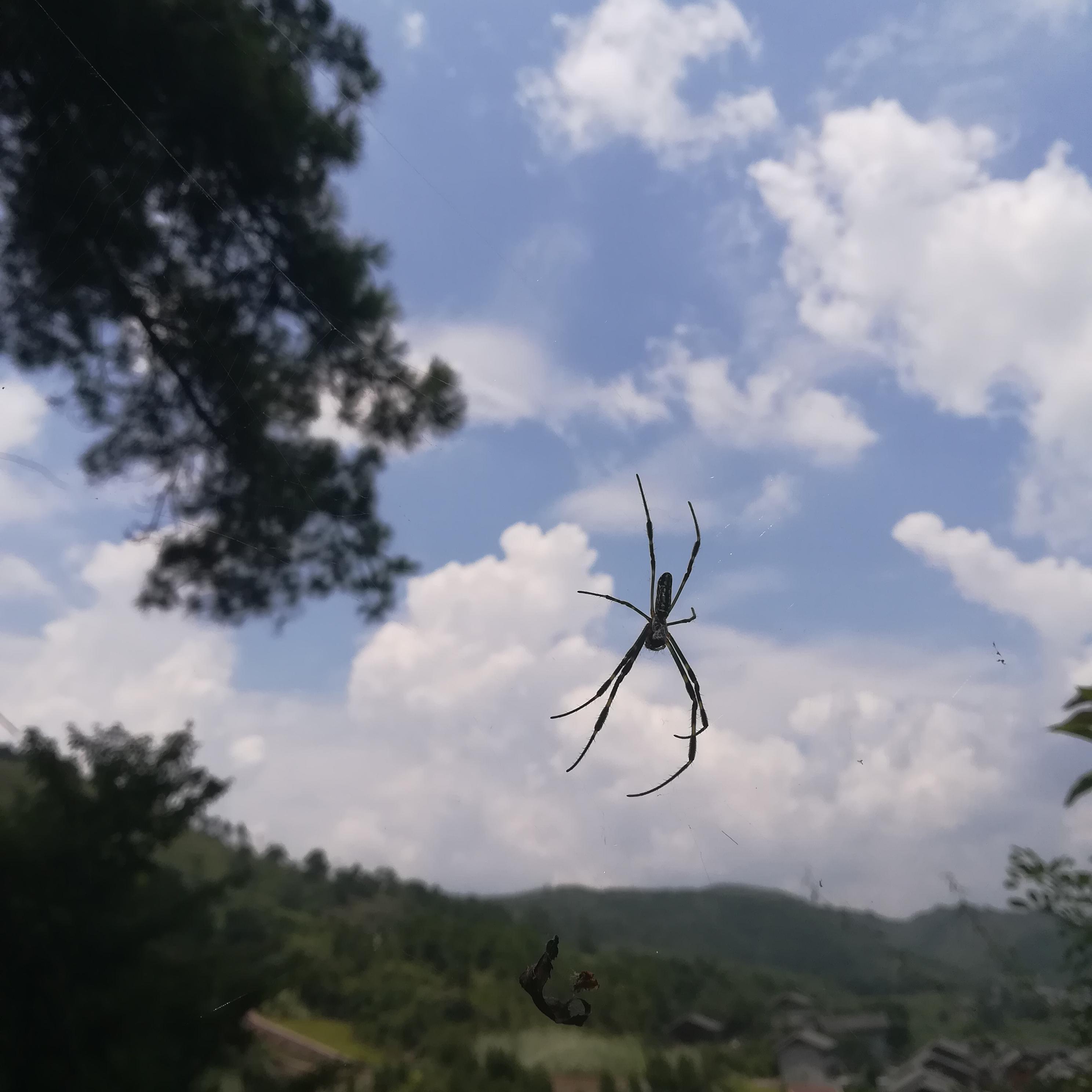 未寻封面
