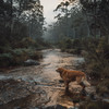 MUSICOTERAPIA PARA PERROS - Serenata Del Ambiente De Patas Somnolientas