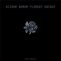 Acidum Domum Floreat Ubique Mmxviii