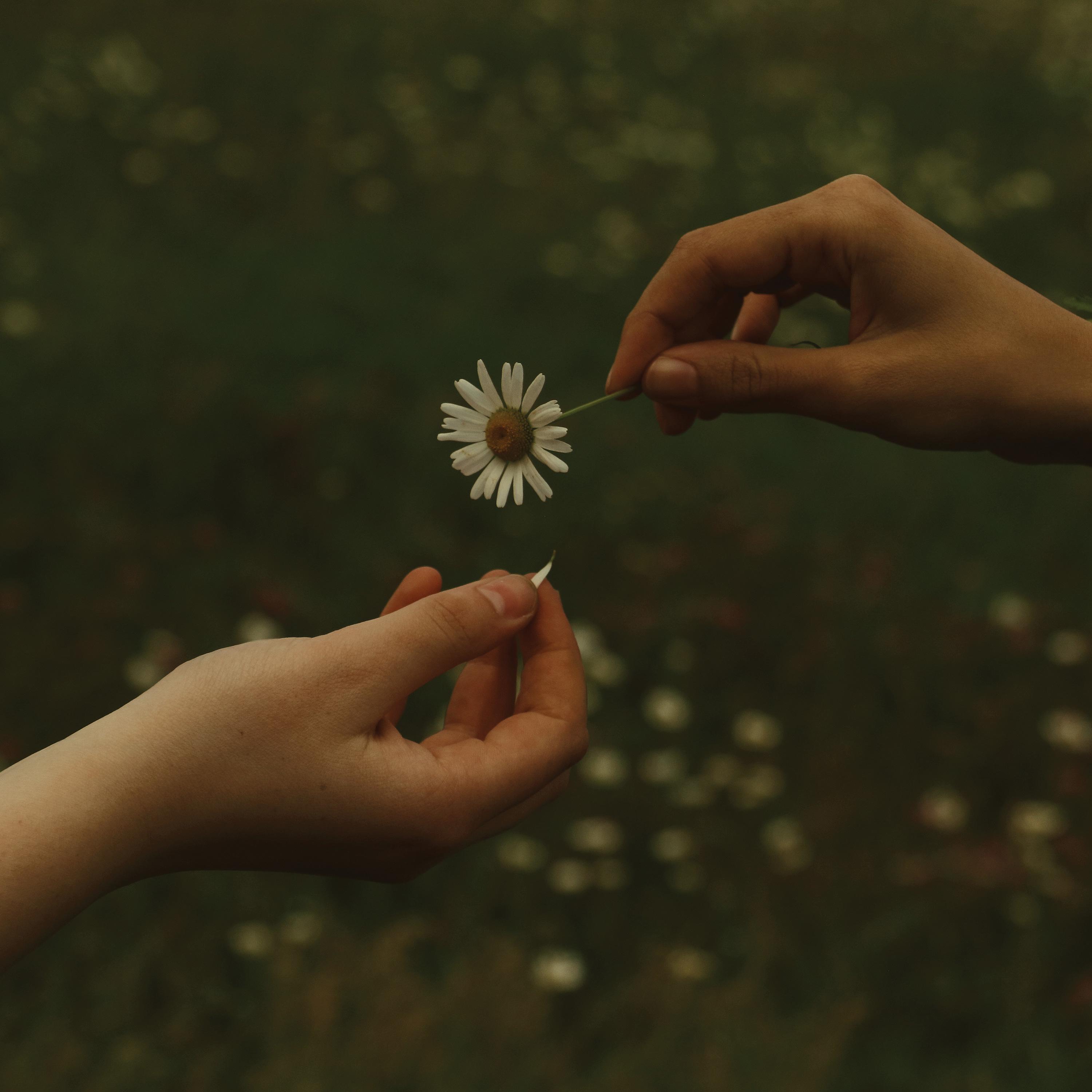 Day in Day Out_Goldmund_For A Time | 在线播放_Day in Day Out歌词_Day in Day Out下载 | 网易云音乐