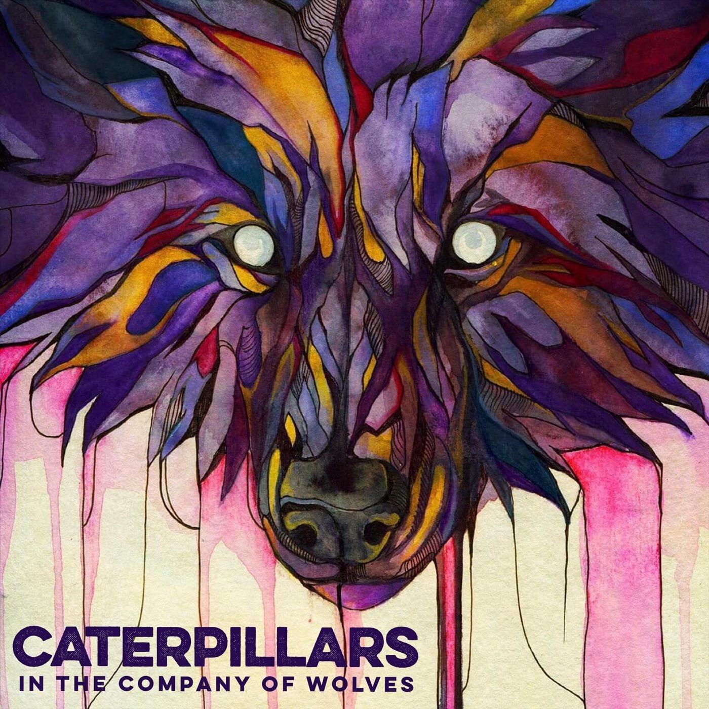 The Company of Wolves (feat. Jonah Matranga)