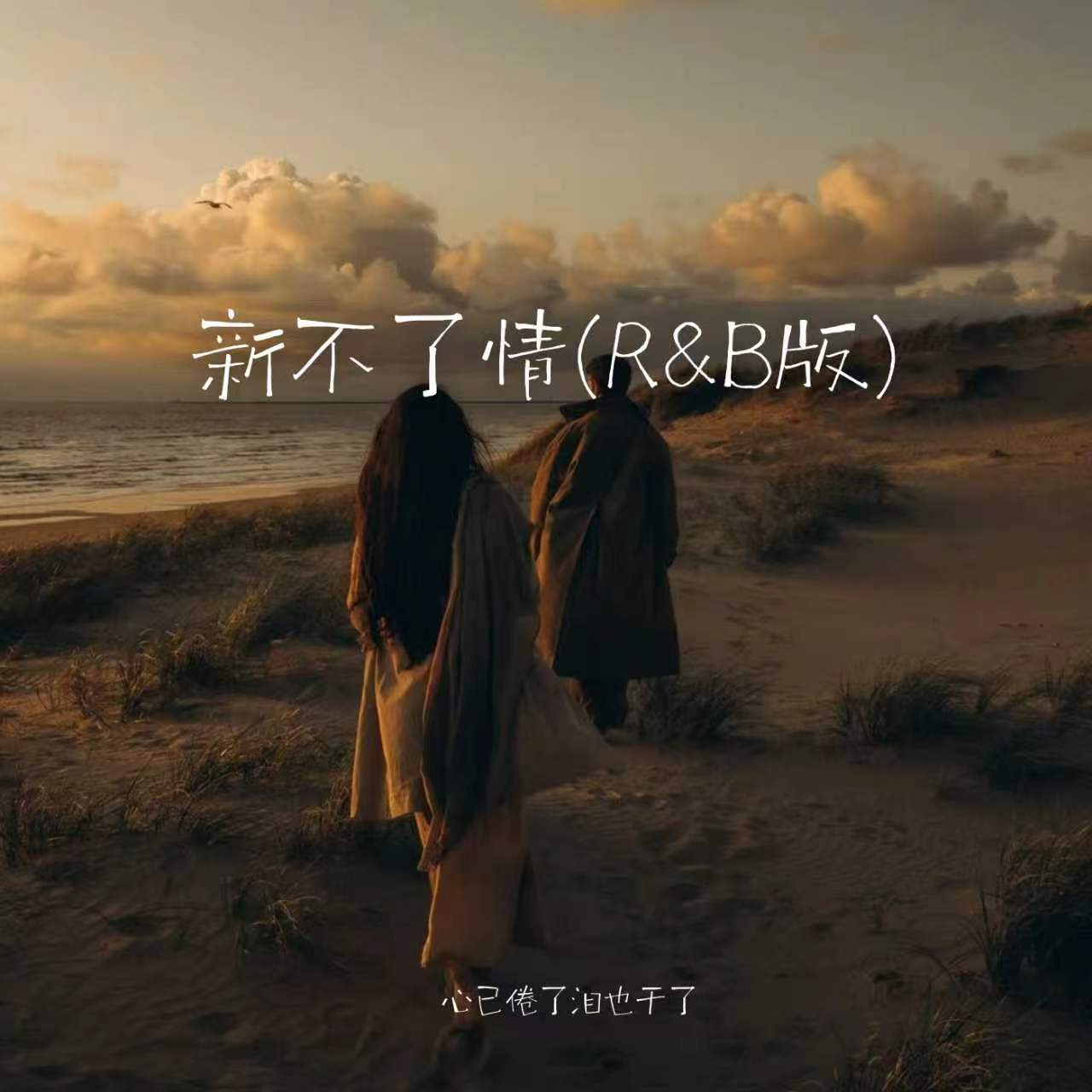 新不了情(R&B版)封面
