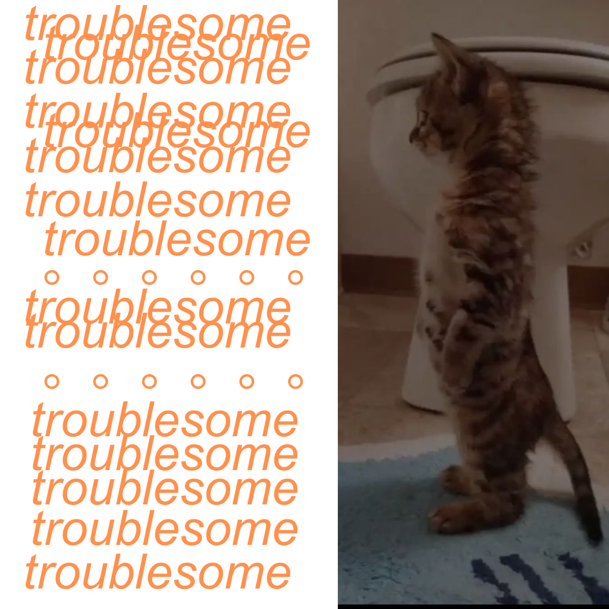 Shawty // TROUBLESOME