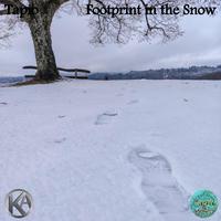 Footprint in the Snow