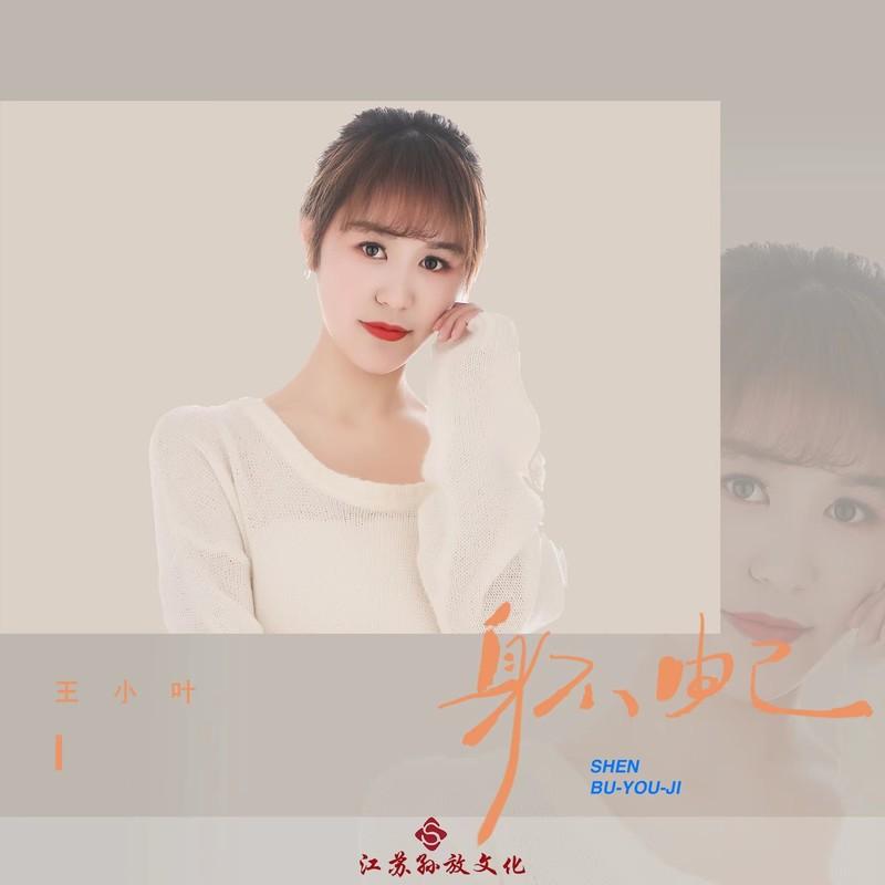 身不由己 (DJ版)封面