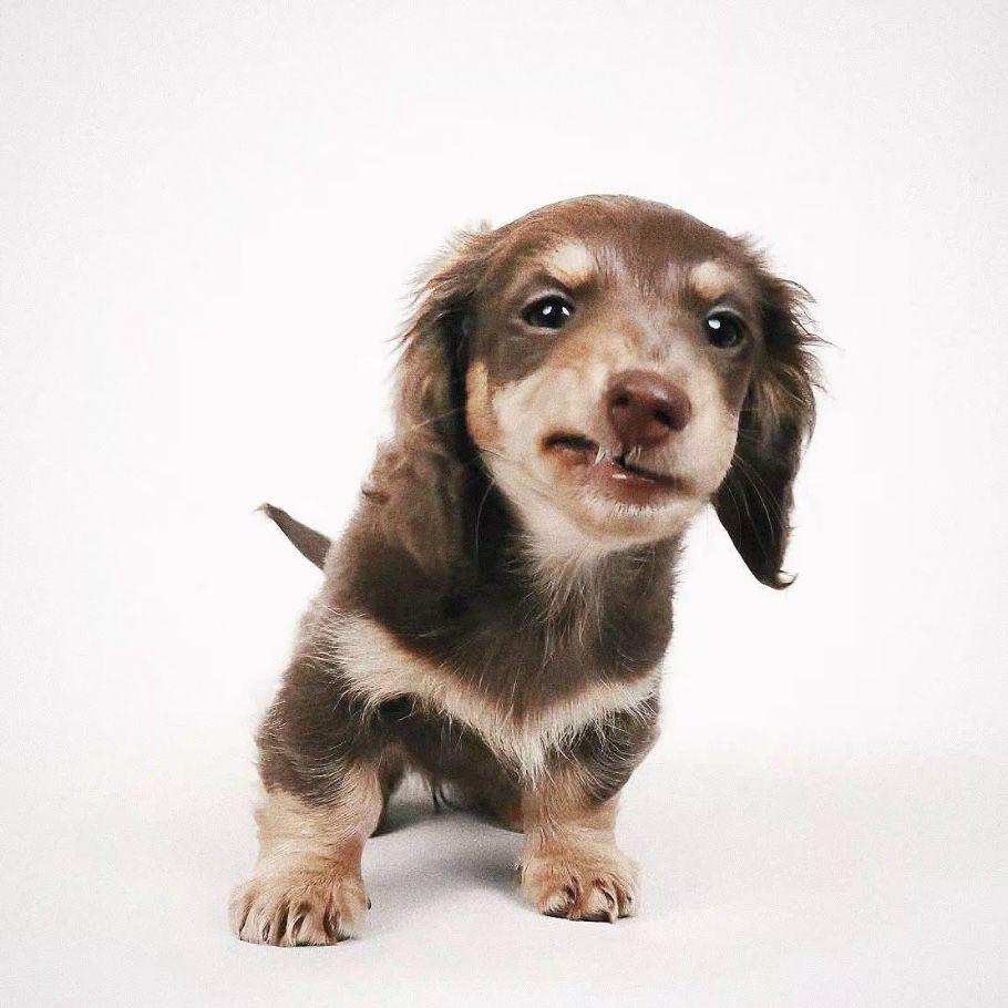 我不敢看妳眼睛