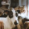 Sleeping Music For Dogs - Resting Cats