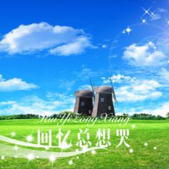 回忆总想哭 (DJ版)