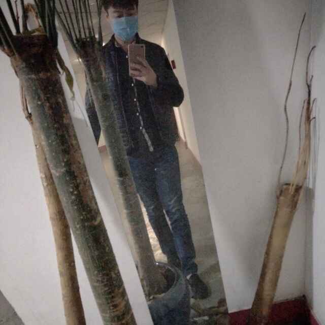 我爱你你你体检