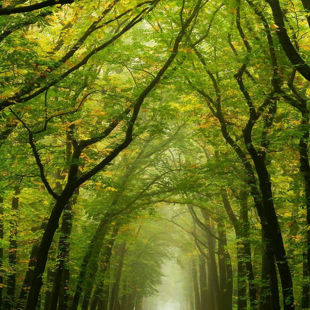 08M31 Quantifiable Connection