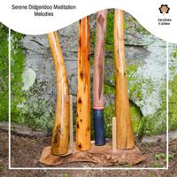 Serene Didgeridoo Meditation Melodies