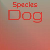 Species Dog