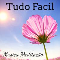 Tudo Facil - Musica Meditação para Cura Espiritual Chakras Reiki Meditação Profunda com Sons New Age Naturais