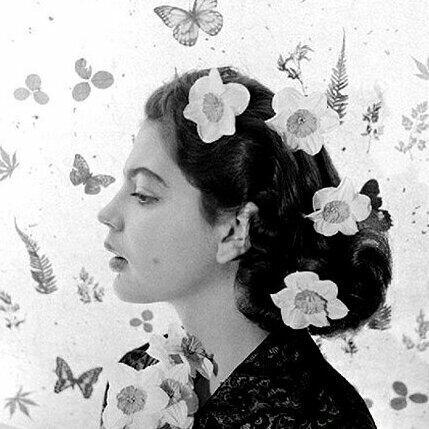 高野健一的樱花三部曲书写了怎样的故事