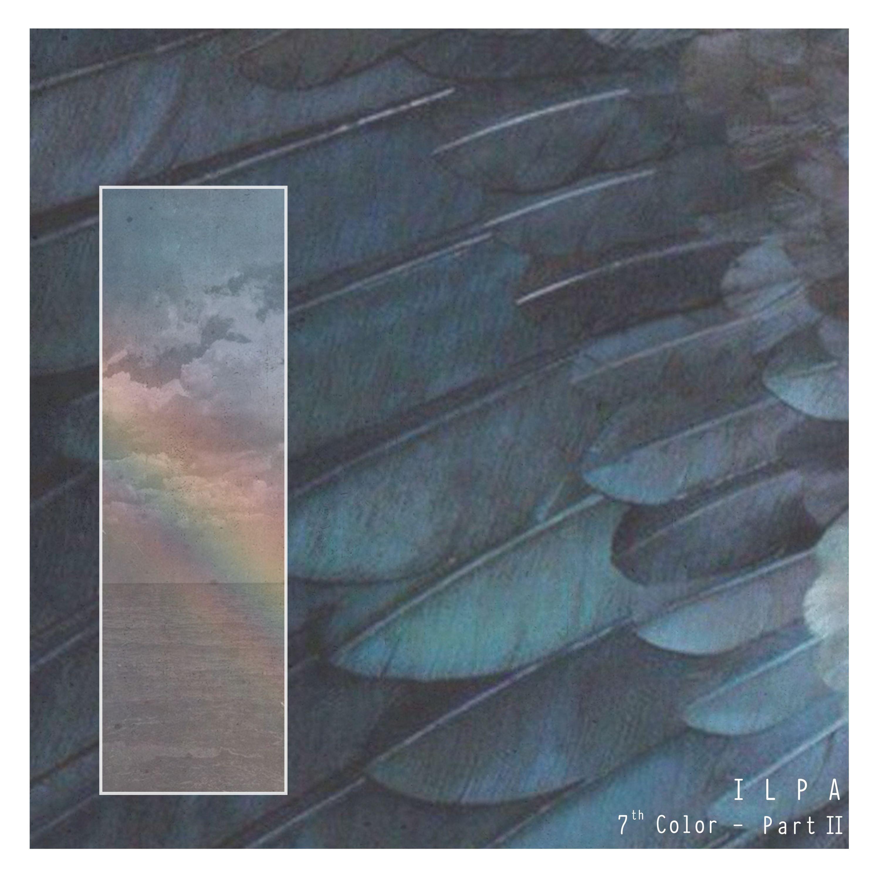 Arrival to Indigo Bay