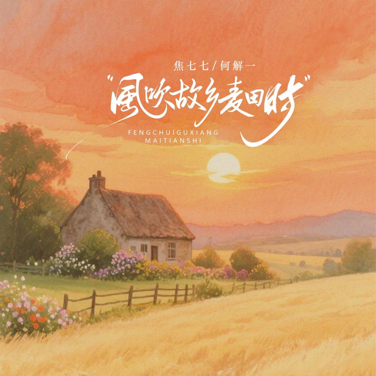 风吹故乡麦田时封面