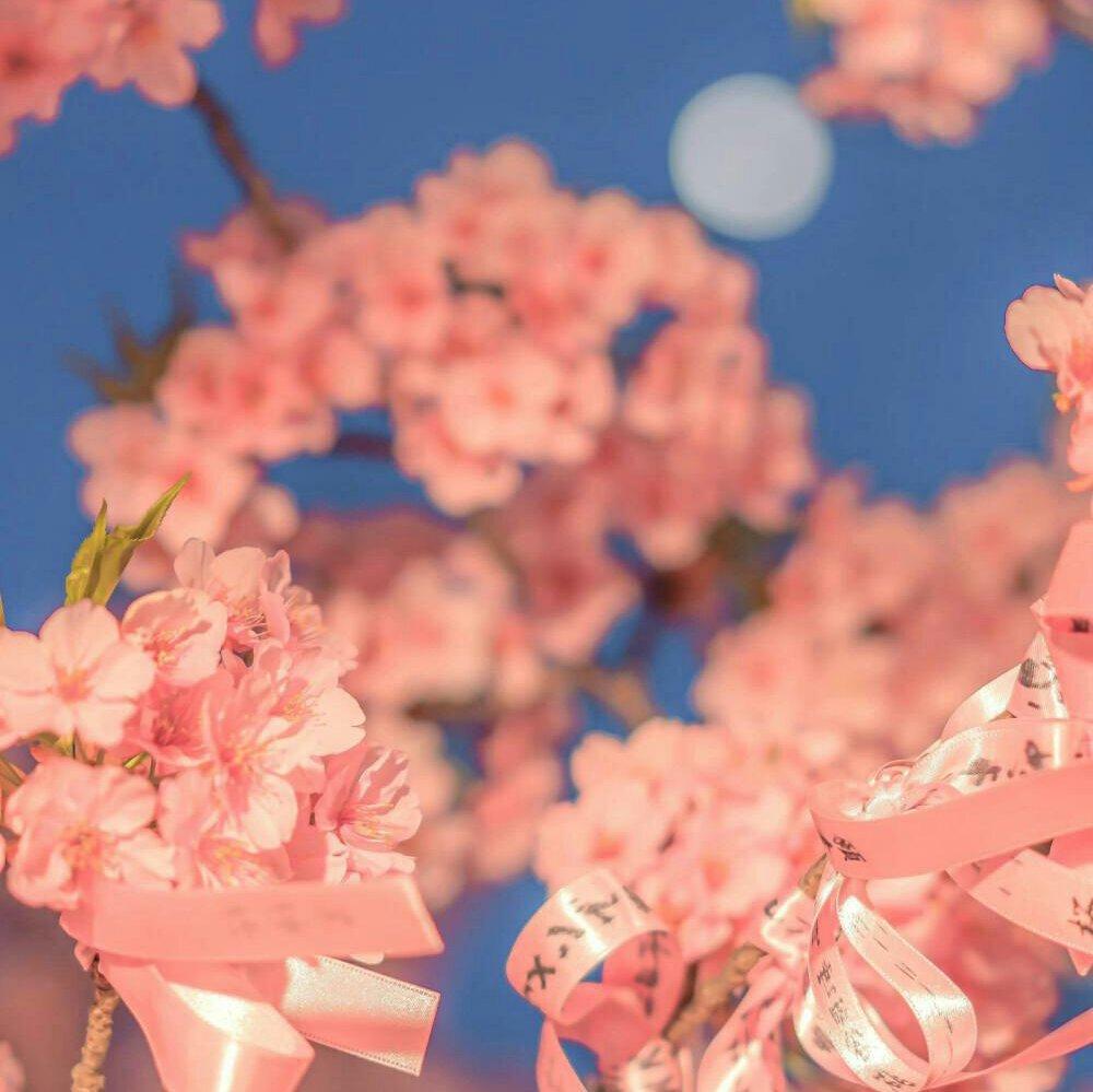 「纯音乐」那些惊艳过你的BGM