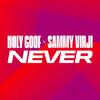 Holy Goof - Never