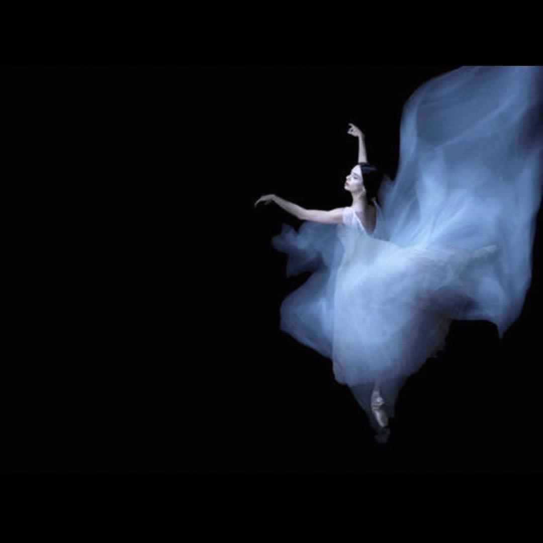 最终乐章-最后的狂欢