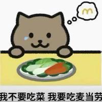 胖猫旋律