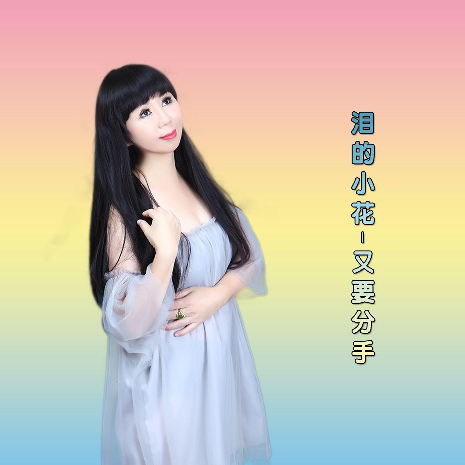泪的小花-又要分手封面