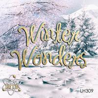 Winter Wonders