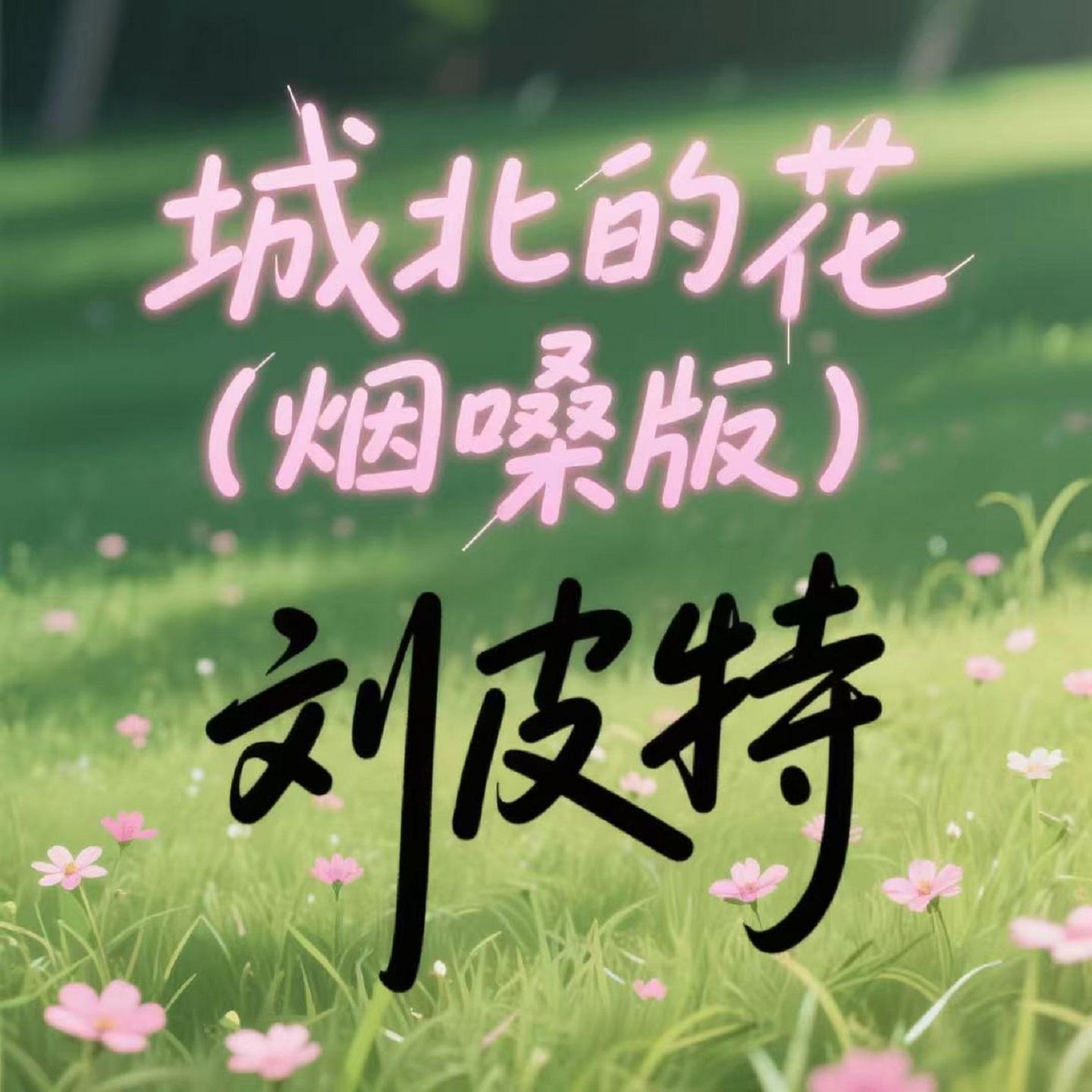 城北的花 (烟嗓版)封面
