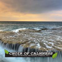 Choir of Calmness - Ocean Water Music for Peaceful Ambience, Vol.1